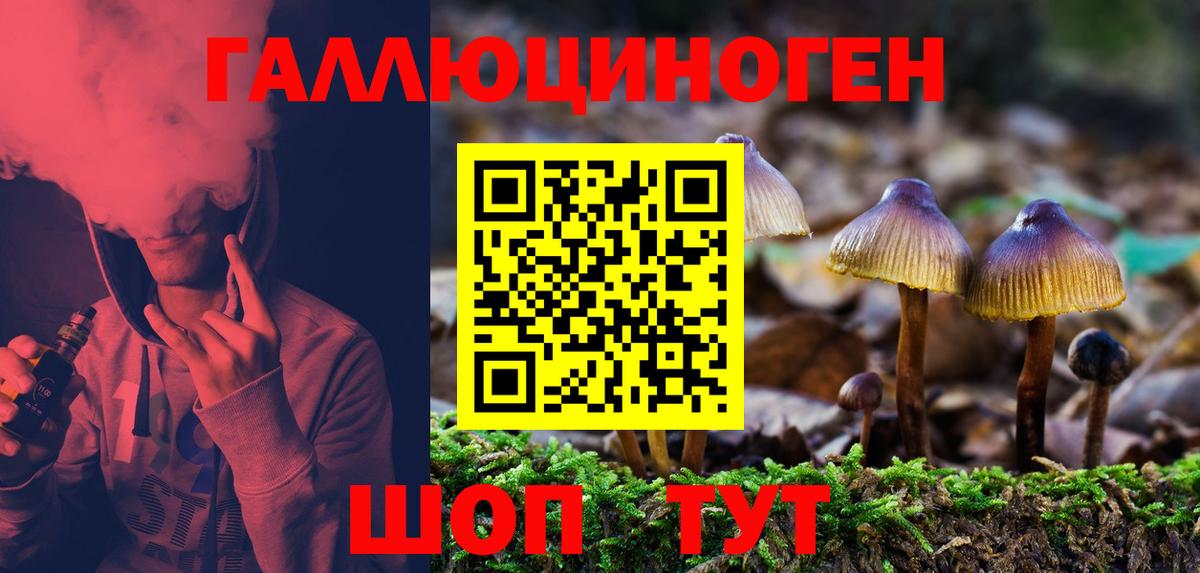 Галлюциногенные грибы MAGIC MUSHROOMS  Галлюциногенные грибы Cubensis  Орёл  Вход с VPN 